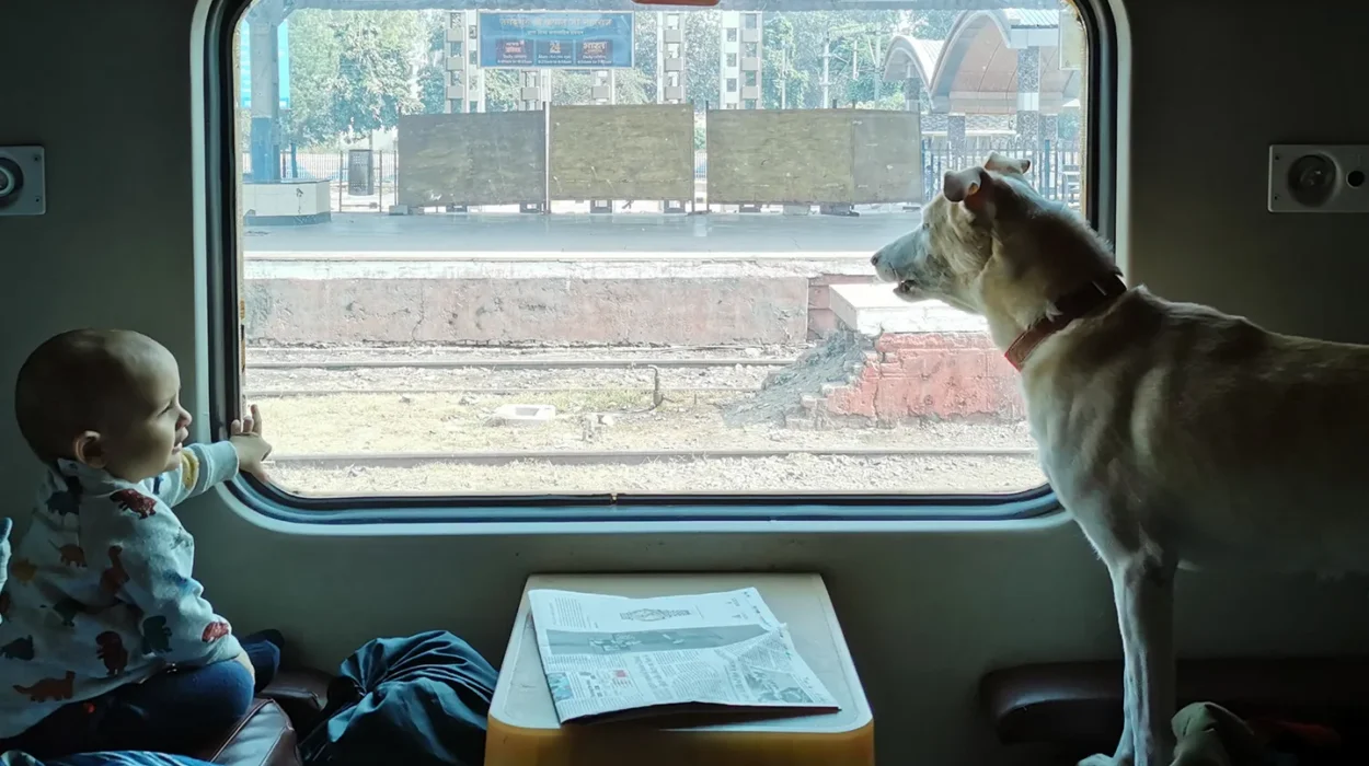 Railways pets